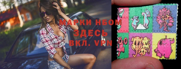 молекула духа Вязьма
